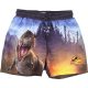 Primark Jurassic World fürdőnadrág (110) kisfiú