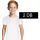 Domikids Fehér 2 db-os póló szet